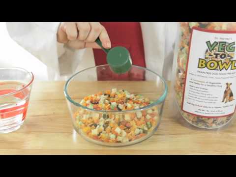 download lagu mp3 mp4 Veg To Bowl Dog Food, download lagu Veg To Bowl Dog Food gratis, unduh video klip Veg To Bowl Dog Food