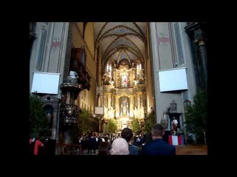 Antonina Lisohorska - AVE MARIA - Bach/Gounod