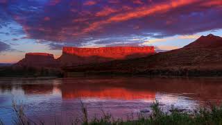 Judy Collins. The Fallow Way