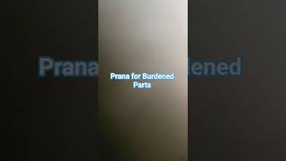 Download lagu Prana for Burdened Parts mp3
