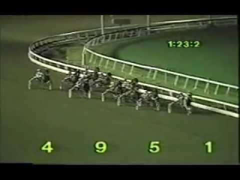 1987 Meadowlands RUN THE TABLE Oliver Wendell Holmes