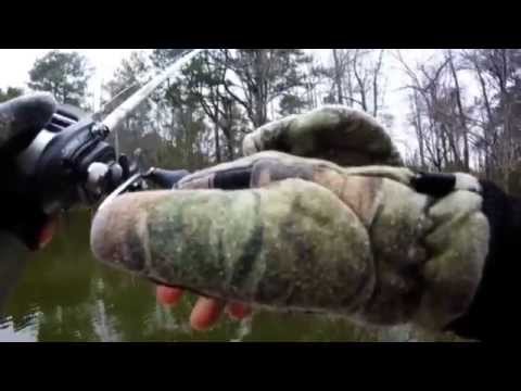 Catching dinks in the pond