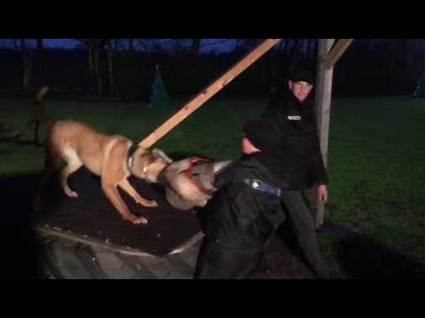 2017 04 18 VIDEO 00000080