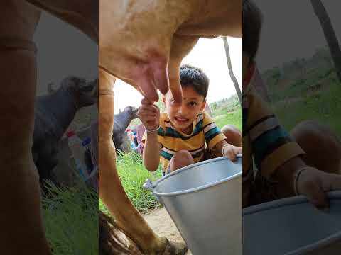 choti choti gaiya tr ry ut tu gh #love #song #popularsong