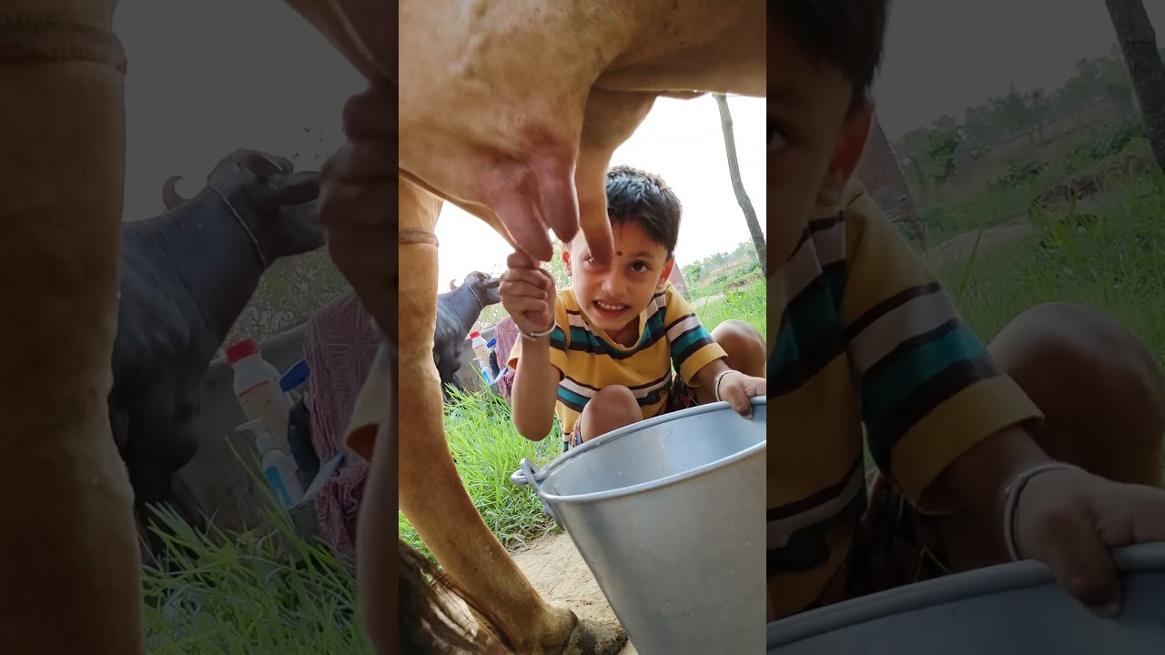 choti choti gaiya tr ry ut tu gh #love #song #popularsong