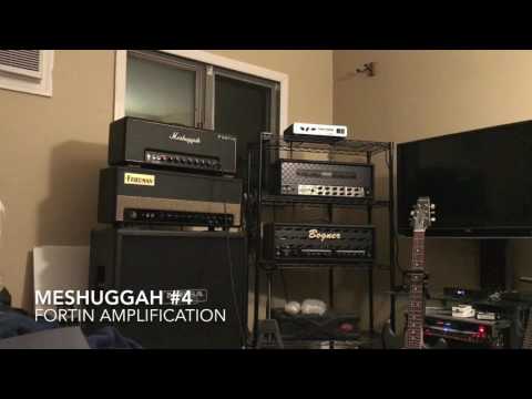Fortin Meshuggah Amp #4 Made by Mike Fortin Himself in Canada image 10