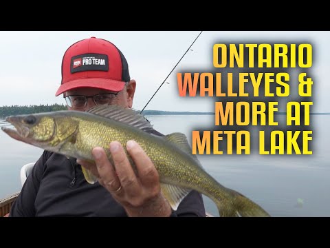 Fishing Paradise in Canada – Meta Lake Lodge Delivers ...
