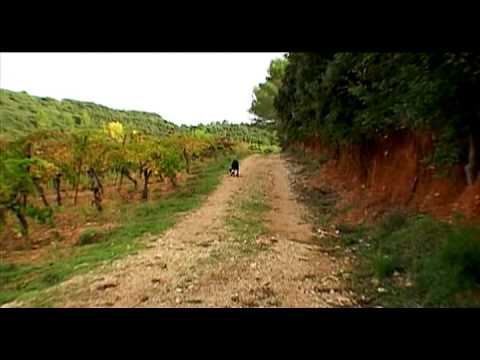 Mondovino (2004) Trailer