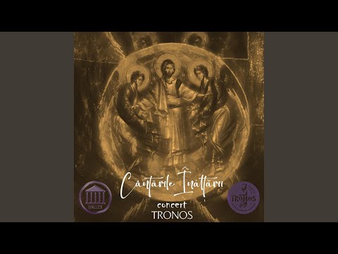 Avem o țară (feat. Mihail Bucă)