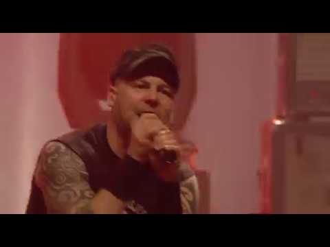 Heideroosjes - Ode to the Ramones (LIVE)