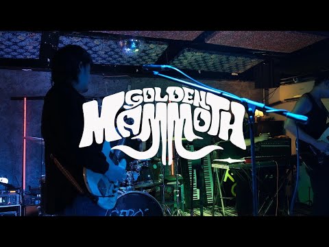 twinkshoplifter and Golden Mammoth