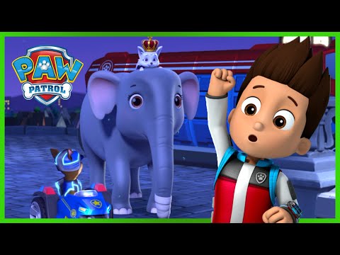 Gli animali invadono il castello - PAW Patrol I cuccioli Episodi Italiano - Pup Tales