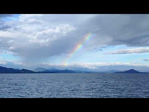 Delfines en el Golfo de Chiriquí | Verano 2026 Grube'o Cultura.