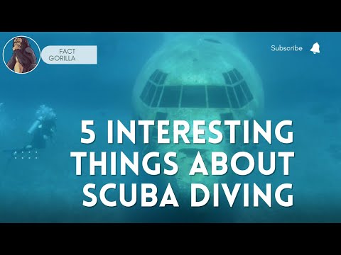 5 Interesting things about SCUBA diving