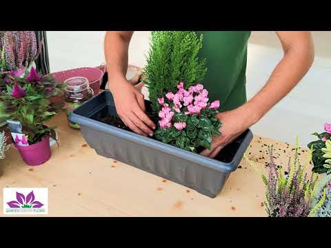 🍁Continua l'AUTUNNO IN FIORE al Garden Center Florio con le BALCONIERE INVERNALI❗