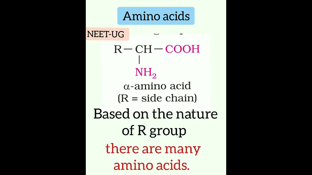 Amino acids   Biomolecules (class 11 bio & class 12 chemistry)   #neetug