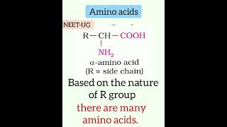 Amino acids   Biomolecules (class 11 bio & class 12 chemistry)   #neetug