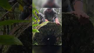 Sem palavras - ficamos surpresos depois de encontrar esse Tesouro na ilha Pirata - parte 2