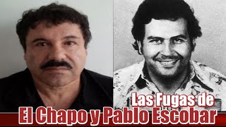 El Chapo Guzmán y Pablo Escobar