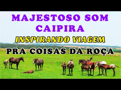 MAJESTOSO SOM DA VIOLA INSPIRANDO A VIAGEM PRA COISAS DA ROÇA
