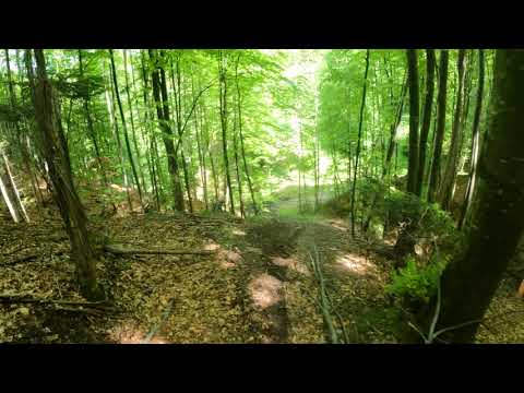 La Vale | Badeni, Romana