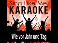 Ich bin Klempner von Beruf (Karaoke Version)