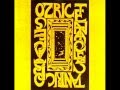 Ozric Tentacles - Music To Gargle At.wmv