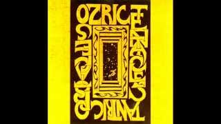 Ozric Tentacles - Music To Gargle At.wmv