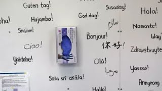 Meta expands AI translation to 200 languages but experts suggest talki