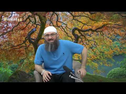 RAMAZANSKA PITANJA I ODGOVORI - 7.DIO (iz arhive) - mr. Elvedin Pezić