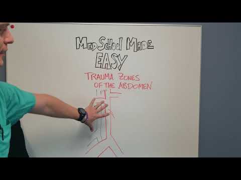 Trauma Zones of the Abdomen: Anatomy and What to Do