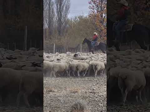 Senguer Chubut