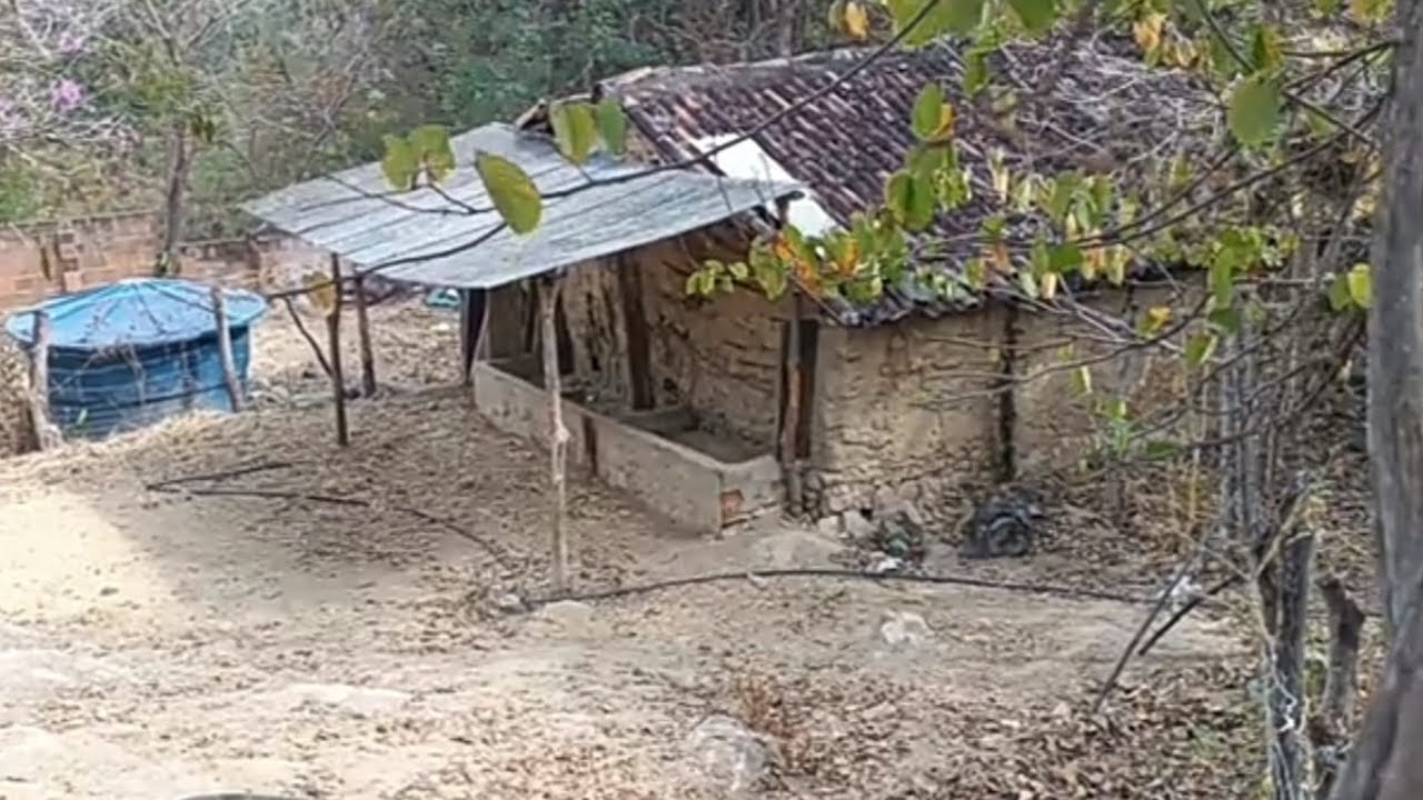 Mostramos uma casa no caminha da nossa chacara no sitio.