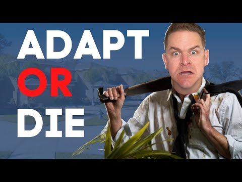 Wholesale Survival Guide (Don't Get Left Behind)