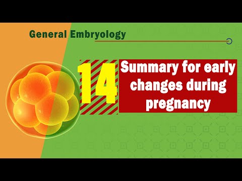 𝟏𝟒. 𝐆𝐞𝐧𝐞𝐫𝐚𝐥 𝐞𝐦𝐛𝐫𝐲𝐨𝐥𝐨𝐠𝐲 𝐫𝐞𝐯𝐢𝐬𝐢𝐨𝐧 💌 👌(مراجعة عامة لعلم الأجنة)