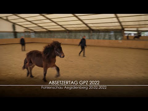 Absetzertag GPZ Aegidienberg 2022 / Vorstellung der Jungpferde