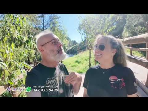 Entella Ballerina - Via Romea da Borzonasca a Borgonovo