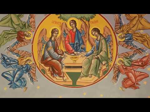 Biserica Ortodoxă Hunedoara-Timişană