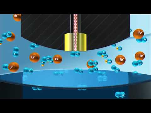 燃料電池オイメーターの概略図 fr.png