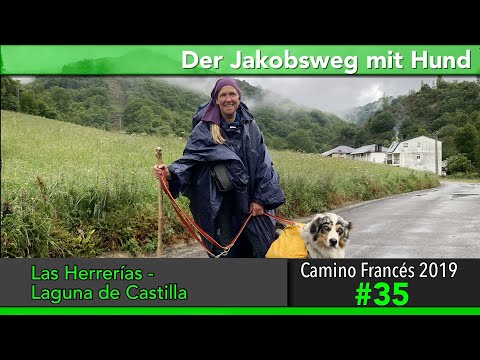 Jakobsweg mit Hund – Doku 2019 Tag 35: Herrerias – Laguna de Castilla [Jakobsweg im Regen] |#Camino