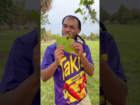 Leaf taste like takis! #shorts