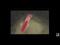 Opening To Winnie The Pooh A Very Merry Pooh Year VHS 2002