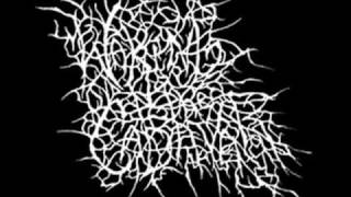 Waking The Cadaver - Always Unprotected