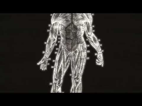 Institut de Radio Protection - Institutet / Post Traumatic Stress Disorder