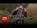 BBC reporter mobbed by lemurs - BBC News
