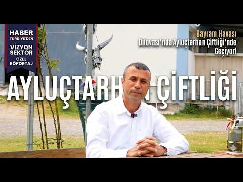 Dilovası Ayluçtarhan Çiftliği Kurban Bayramı Özel Röportajı