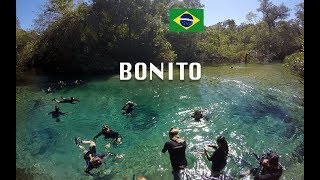Crystal Clear rivers of Bonito in Brazil - (I swam with an Alligator!)