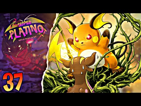 POKÉMON SUPER PLATINO MEGA DUALLOCKE Ep. 37 "Hierba lazo al locke”