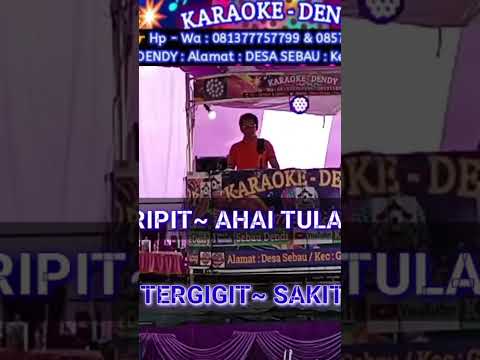 TUNG KERIPUT - Karaoke Dendy #tungkeripit #karaoke #pecintakaraoke