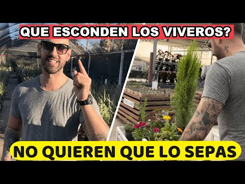 Los Viveros Esconden estos 5 SECRETOS!
